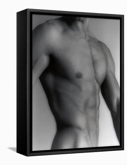 Nude Man's Torso-Cristina-Framed Stretched Canvas