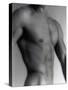 Nude Man's Torso-Cristina-Stretched Canvas