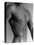 Nude Man's Torso-Cristina-Stretched Canvas