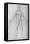 'Nude Man With Arms Stretched Out, Seen from the Front', c1480 (1945)-Leonardo Da Vinci-Framed Stretched Canvas