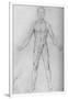 'Nude Man With Arms Stretched Out, Seen from the Front', c1480 (1945)-Leonardo Da Vinci-Framed Giclee Print