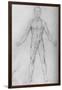 'Nude Man With Arms Stretched Out, Seen from the Front', c1480 (1945)-Leonardo Da Vinci-Framed Giclee Print