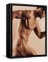 Nude Man-Cristina-Framed Stretched Canvas