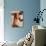Nude Man-Cristina-Photographic Print displayed on a wall