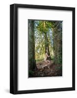 Nude nymph-like woman in forest-Panoramic Images-Framed Photographic Print