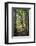 Nude nymph-like woman in forest-Panoramic Images-Framed Photographic Print