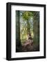Nude nymph-like woman in forest-Panoramic Images-Framed Photographic Print