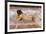 Nude of Woman-Joaquín Sorolla y Bastida-Framed Premium Giclee Print