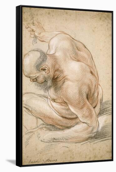 Nude Old Man Seated, Leaning on His Forearm, Facing Left, C.1640-Jacob Jordaens-Framed Stretched Canvas