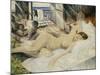 Nude on a Bed, South of France-Christopher Richard Wynne Nevinson-Mounted Giclee Print