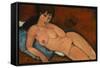 Nude on a Blue Cushion, 1917-Amedeo Modigliani-Framed Stretched Canvas