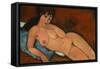 Nude on a Blue Cushion, 1917-Amedeo Modigliani-Framed Stretched Canvas
