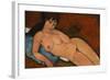 Nude on a Blue Cushion, 1917-Amedeo Modigliani-Framed Giclee Print