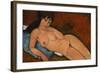 Nude on a Blue Cushion, 1917-Amedeo Modigliani-Framed Giclee Print