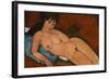 Nude on a Blue Cushion, 1917-Amedeo Modigliani-Framed Giclee Print