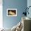 Nude on a Blue Cushion-Amedeo Modigliani-Framed Art Print displayed on a wall