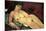 Nude on a Blue Cushion-Amedeo Modigliani-Mounted Art Print