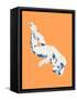 Nude Orange-Francesco Gulina-Framed Stretched Canvas