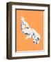 Nude Orange-Francesco Gulina-Framed Photographic Print