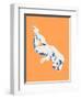 Nude Orange-Francesco Gulina-Framed Photographic Print