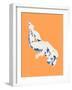 Nude Orange-Francesco Gulina-Framed Photographic Print