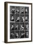 Nude Posing, C1875-null-Framed Giclee Print