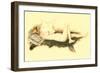 Nude Reading Newspaper on Bearskin Rug-null-Framed Art Print