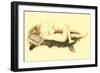 Nude Reading Newspaper on Bearskin Rug-null-Framed Art Print