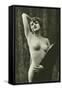 Nude Showing Armpit-null-Framed Stretched Canvas