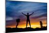 Nude silhouette, Joshua Tree, California, USA-Panoramic Images-Mounted Photographic Print