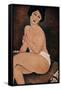 Nude Sitting on a Couch', 1917, Oil on canvas, 100 x 65 cm. AMEDEO MODIGLIANI (1884-1920)-AMEDEO MODIGLIANI-Framed Stretched Canvas