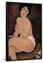 Nude Sitting on a Couch', 1917, Oil on canvas, 100 x 65 cm. AMEDEO MODIGLIANI (1884-1920)-AMEDEO MODIGLIANI-Framed Poster