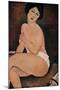 Nude Sitting on a Couch', 1917, Oil on canvas, 100 x 65 cm. AMEDEO MODIGLIANI (1884-1920)-AMEDEO MODIGLIANI-Mounted Poster