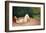 Nude Sleeping by the River Bank-Félix Vallotton-Framed Giclee Print