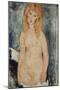 Nude Standing, C.1917-18-Amedeo Modigliani-Mounted Giclee Print