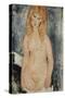 Nude Standing, C.1917-18-Amedeo Modigliani-Stretched Canvas