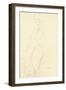 Nude Standing Left, Holding a Towel to the Body, 1917-Gustav Klimt-Framed Giclee Print