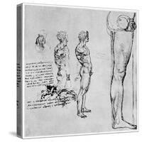 Nude Studies for 'The Battle of Anghiari, C1503-1505-Leonardo da Vinci-Stretched Canvas