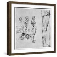 Nude Studies for 'The Battle of Anghiari, C1503-1505-Leonardo da Vinci-Framed Giclee Print