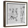 Nude Studies for 'The Battle of Anghiari, C1503-1505-Leonardo da Vinci-Framed Giclee Print