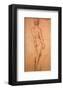 Nude Study-Raphael-Framed Art Print