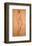 Nude Study-Raphael-Framed Art Print