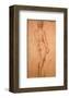 Nude Study-Raphael-Framed Art Print