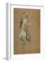 Nude Woman, 1893-Henri de Toulouse-Lautrec-Framed Giclee Print