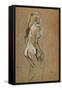Nude Woman, 1893-Henri de Toulouse-Lautrec-Framed Stretched Canvas