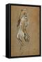 Nude Woman, 1893-Henri de Toulouse-Lautrec-Framed Stretched Canvas