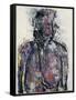 Nude Woman, 1991-92-Stephen Finer-Framed Stretched Canvas