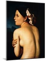 Nude Woman Displaying her Back, 1807-Jean-Auguste-Dominique Ingres-Mounted Giclee Print