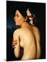 Nude Woman Displaying her Back, 1807-Jean-Auguste-Dominique Ingres-Mounted Giclee Print