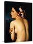 Nude Woman Displaying her Back, 1807-Jean-Auguste-Dominique Ingres-Stretched Canvas